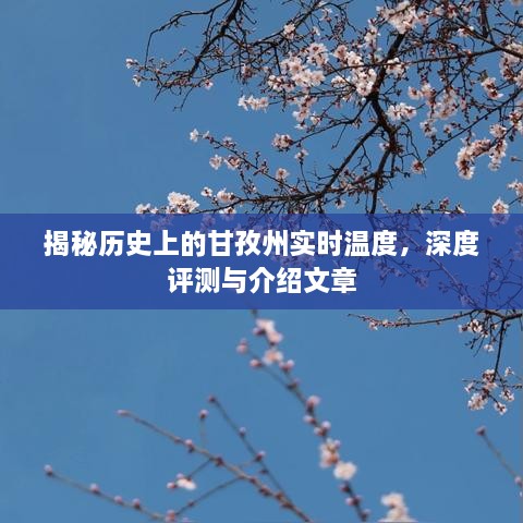 介绍