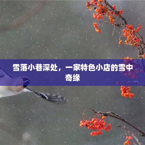 dayajunzi 第4页