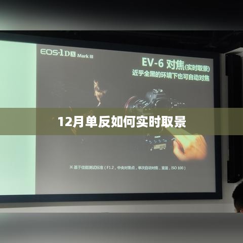 单反相机实时取景技巧，冬季拍摄指南