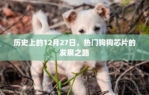 meikaiyanxiao 第3页