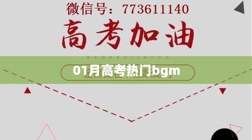 feilongzaitian 第2页
