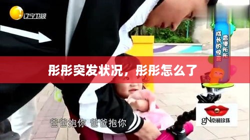 chenhouguayan 第2页
