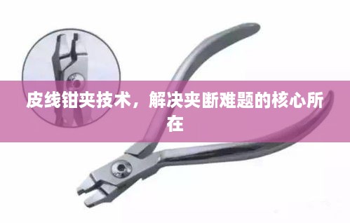 皮线钳夹技术，解决夹断难题的核心所在
