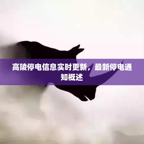 客户案例 第13页