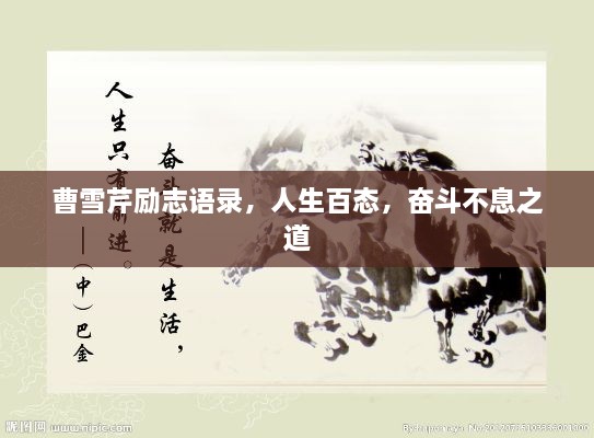 客户案例 第10页