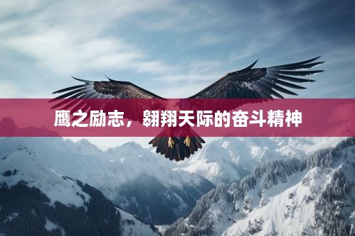 鹰之励志，翱翔天际的奋斗精神