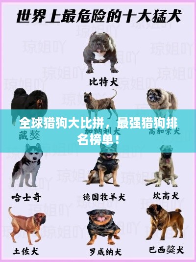 shanggongzhiniao