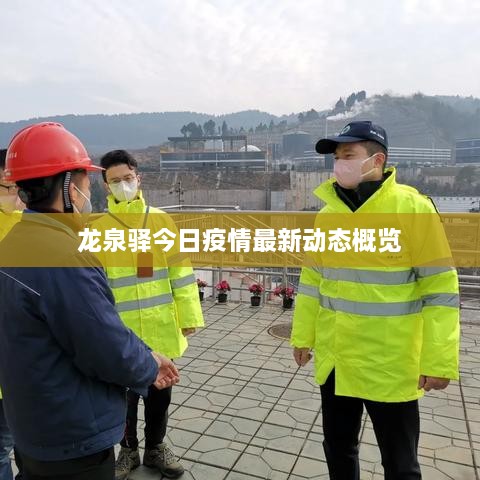 龙泉驿今日疫情最新动态概览