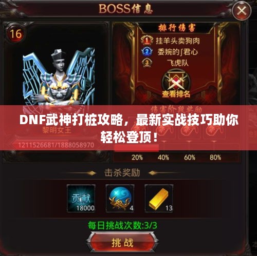 DNF武神打桩攻略，最新实战技巧助你轻松登顶！