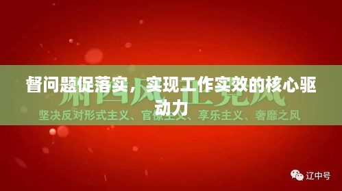 duidaruliu