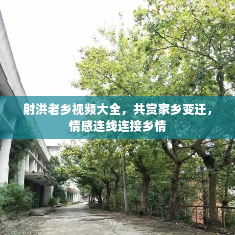 射洪老乡视频大全，共赏家乡变迁，情感连线连接乡情