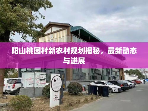 阳山桃园村新农村规划揭秘，最新动态与进展