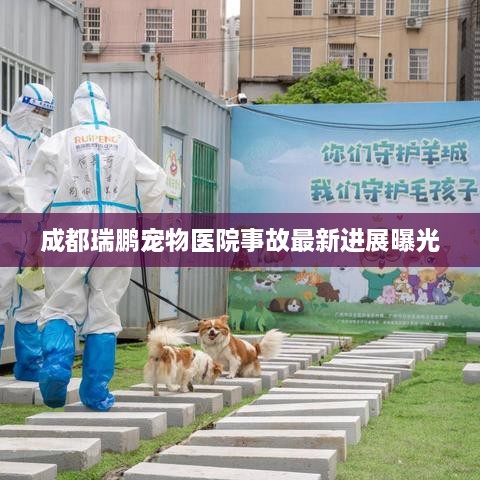 成都瑞鹏宠物医院事故最新进展曝光