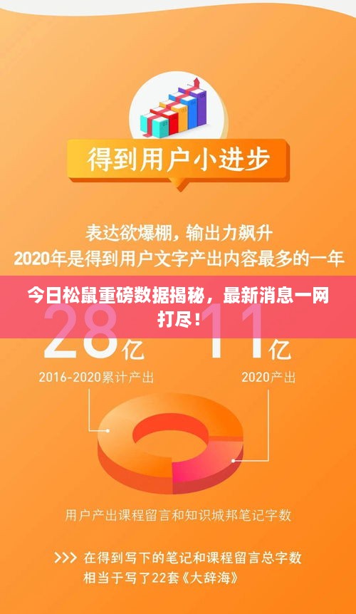 今日松鼠重磅数据揭秘，最新消息一网打尽！