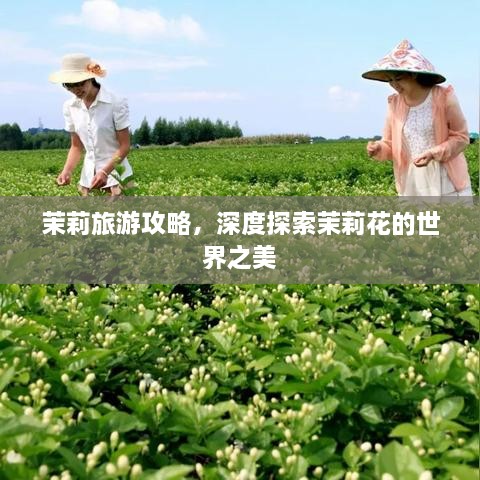 关于我们 第9页